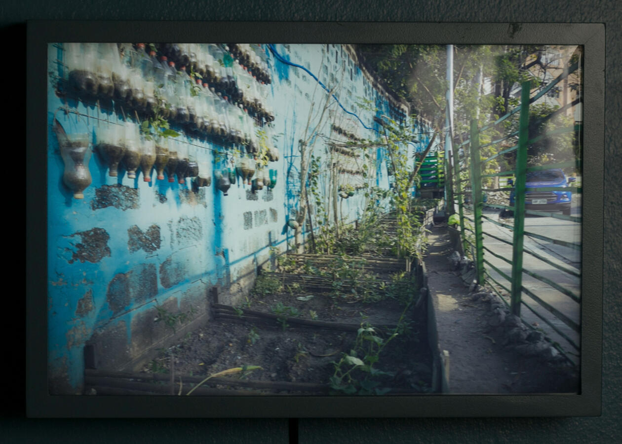 Garden Kapiligan St. - Light box - 8.75 x 11.75 inches - 2016