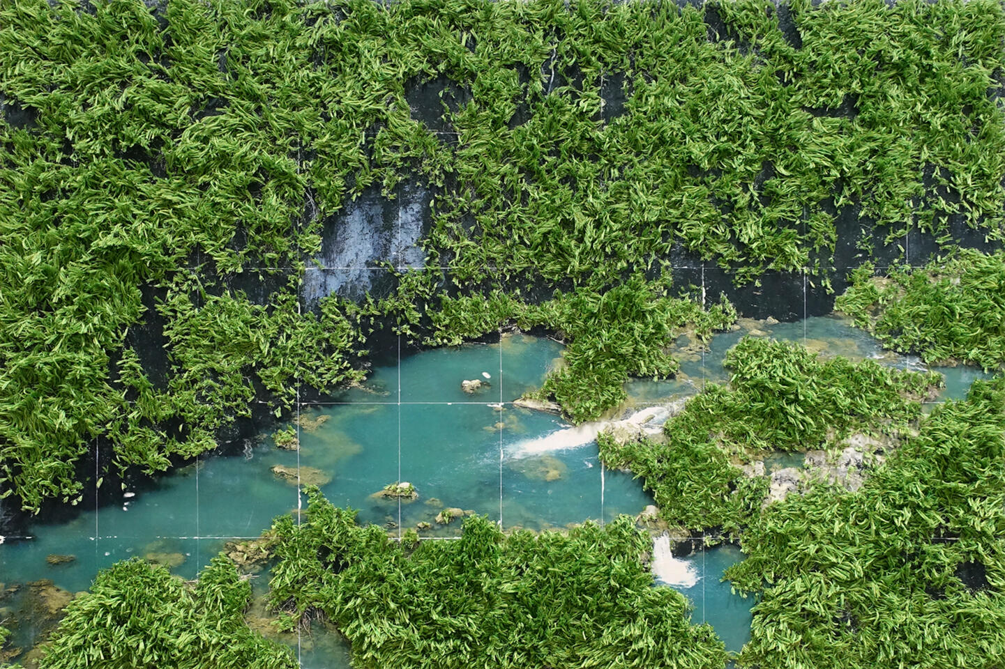 Abundance - Thread and photo transfer on linen - 4 x 6 feet - 2025