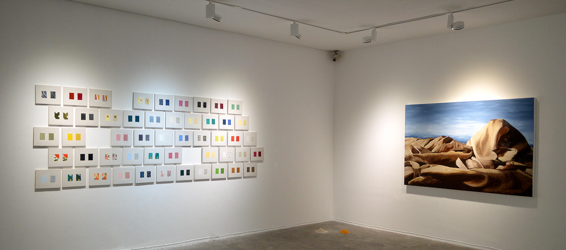 THREE-WOMAN EXHIBITION: Investigatory Projects